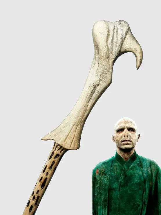 bacchetta-magica-voldemort