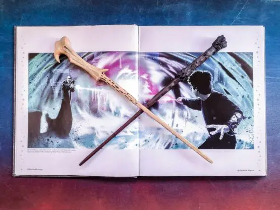 bacchette-voldemort-harry-potter