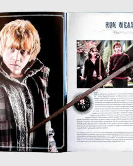 bacchetta-magica-Ron-Weasley