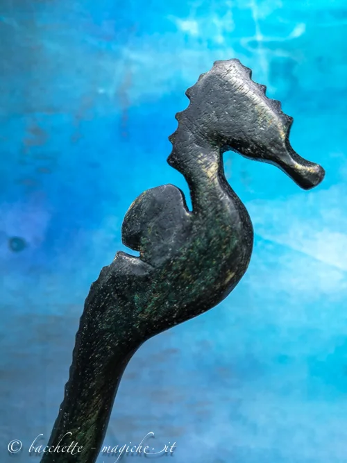 Bacchetta magica Hippocampus Rafinesque