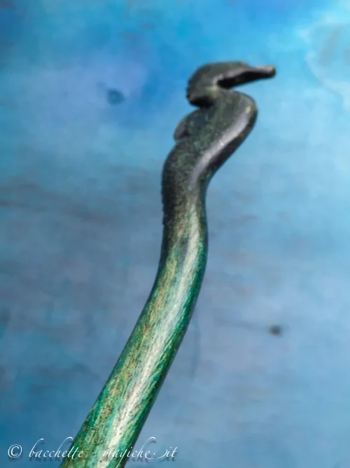 Bacchetta magica Hippocampus Rafinesque