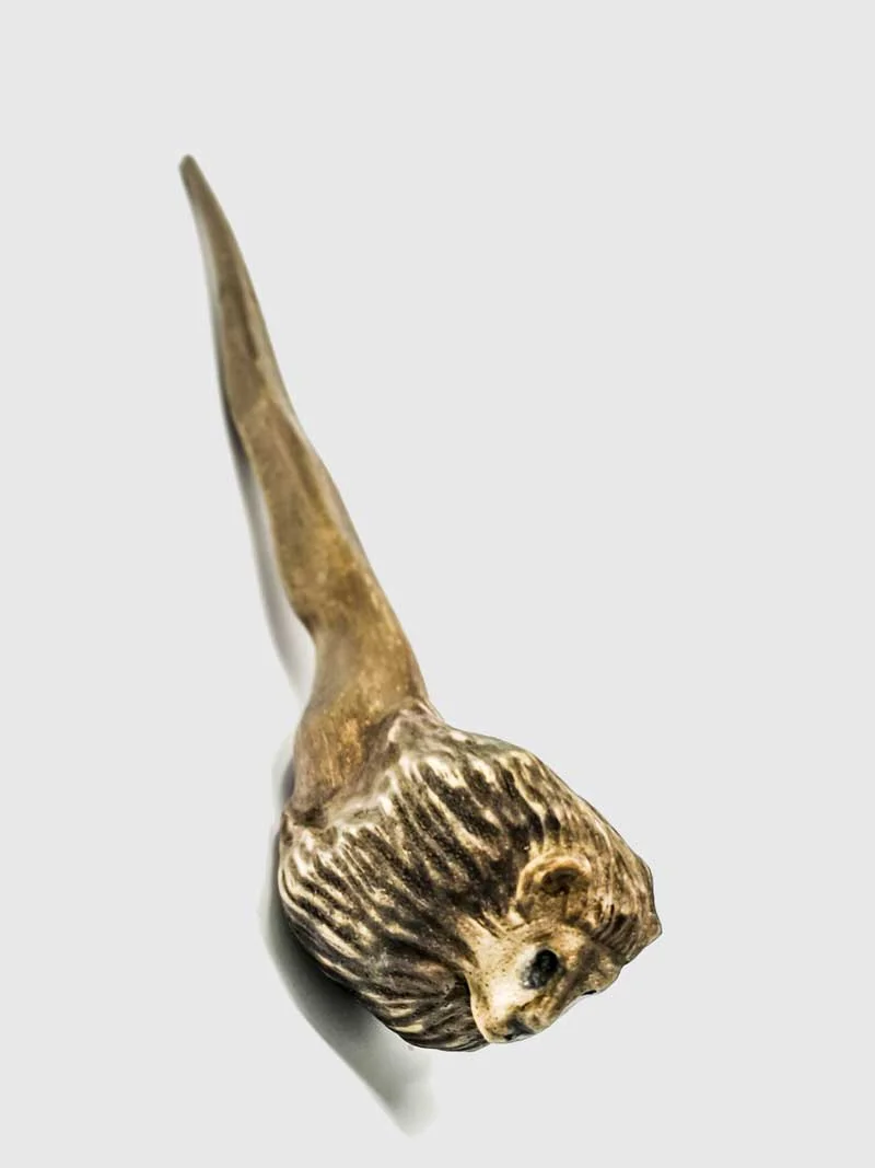 bacchetta-magica-zodiaco-leone