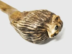 bacchetta-magica-zodiaco-leone