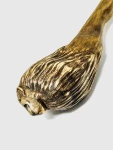 bacchetta-magica-zodiaco-leone