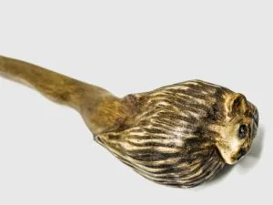 bacchetta-magica-zodiaco-leone