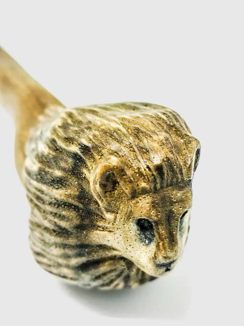 bacchetta-magica-zodiaco-leone