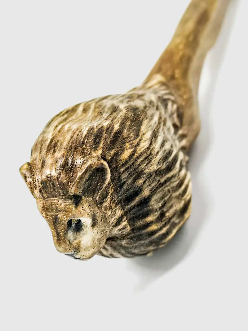 bacchetta-magica-zodiaco-leone