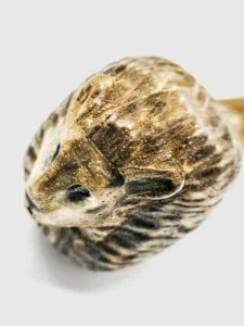 bacchetta-magica-zodiaco-leone