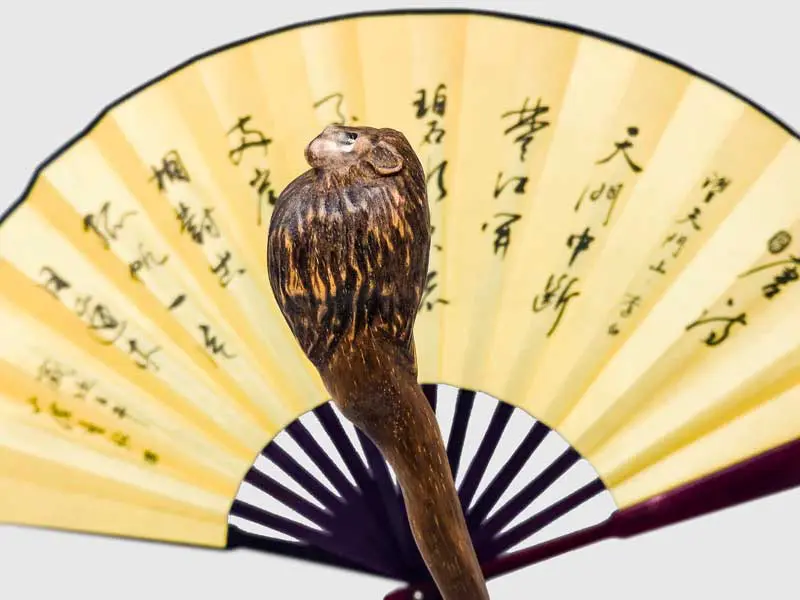 bacchetta-magica-zodiaco-leone