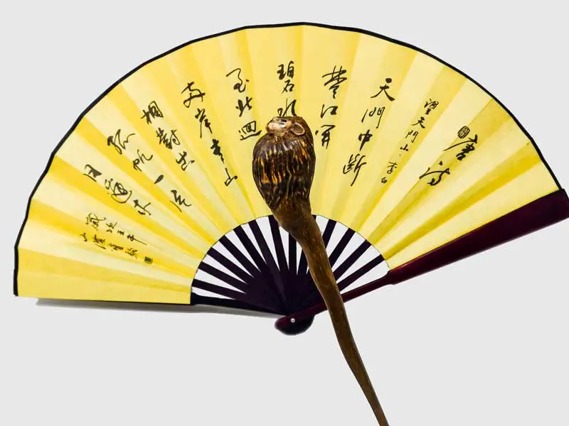 bacchetta-magica-zodiaco-leone