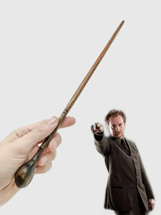 BACCHETTA-MAGICA--DILEGNO-REMUS-LUPIN