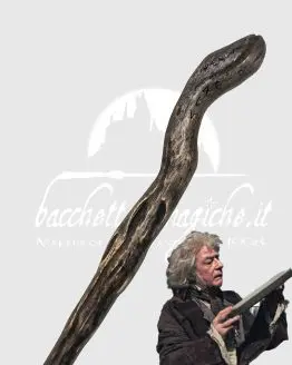 bacchetta-di-ollivander-olivander-garrick-noble-collection